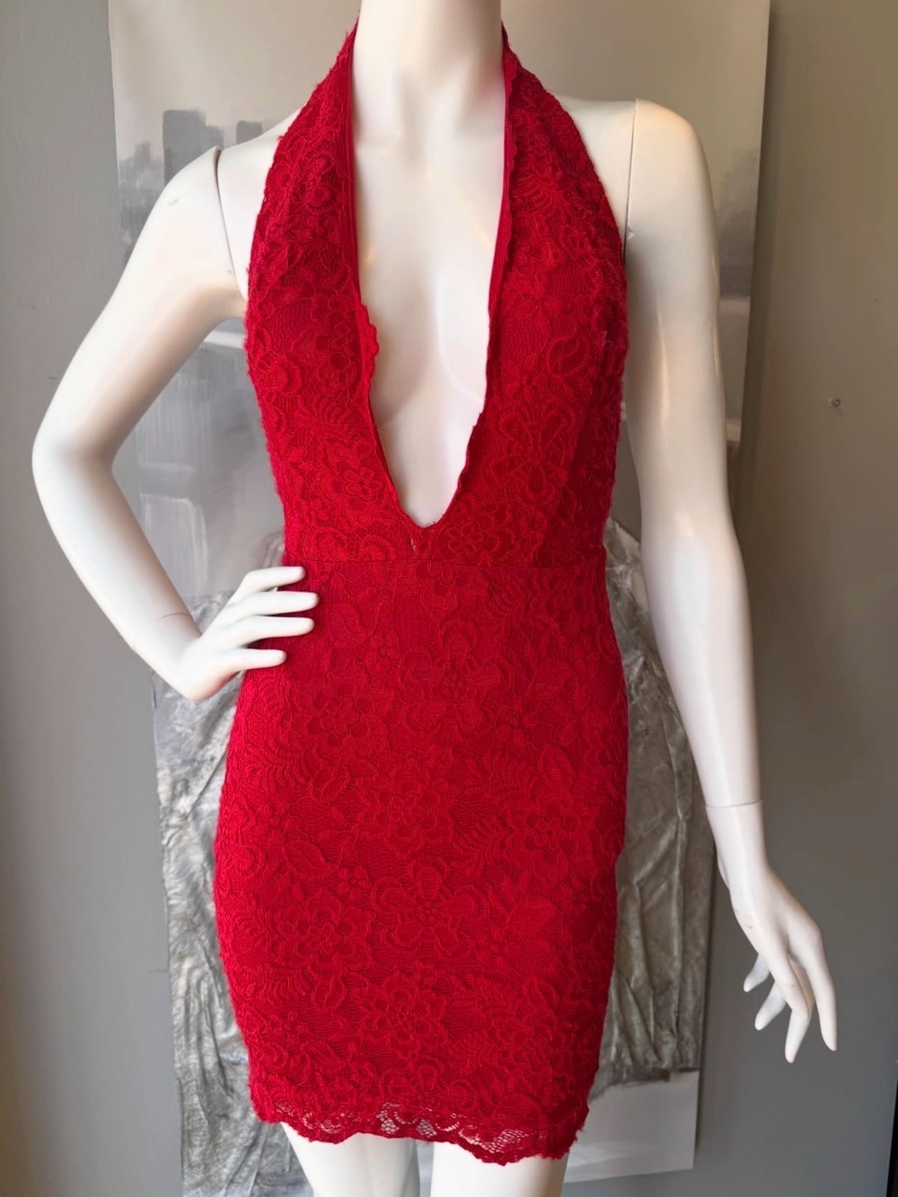 Plunge Halter Red Lace Mini Dress
